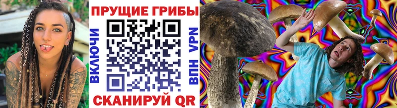blacksprut ТОР  Баксан  Псилоцибиновые грибы Magic Shrooms 